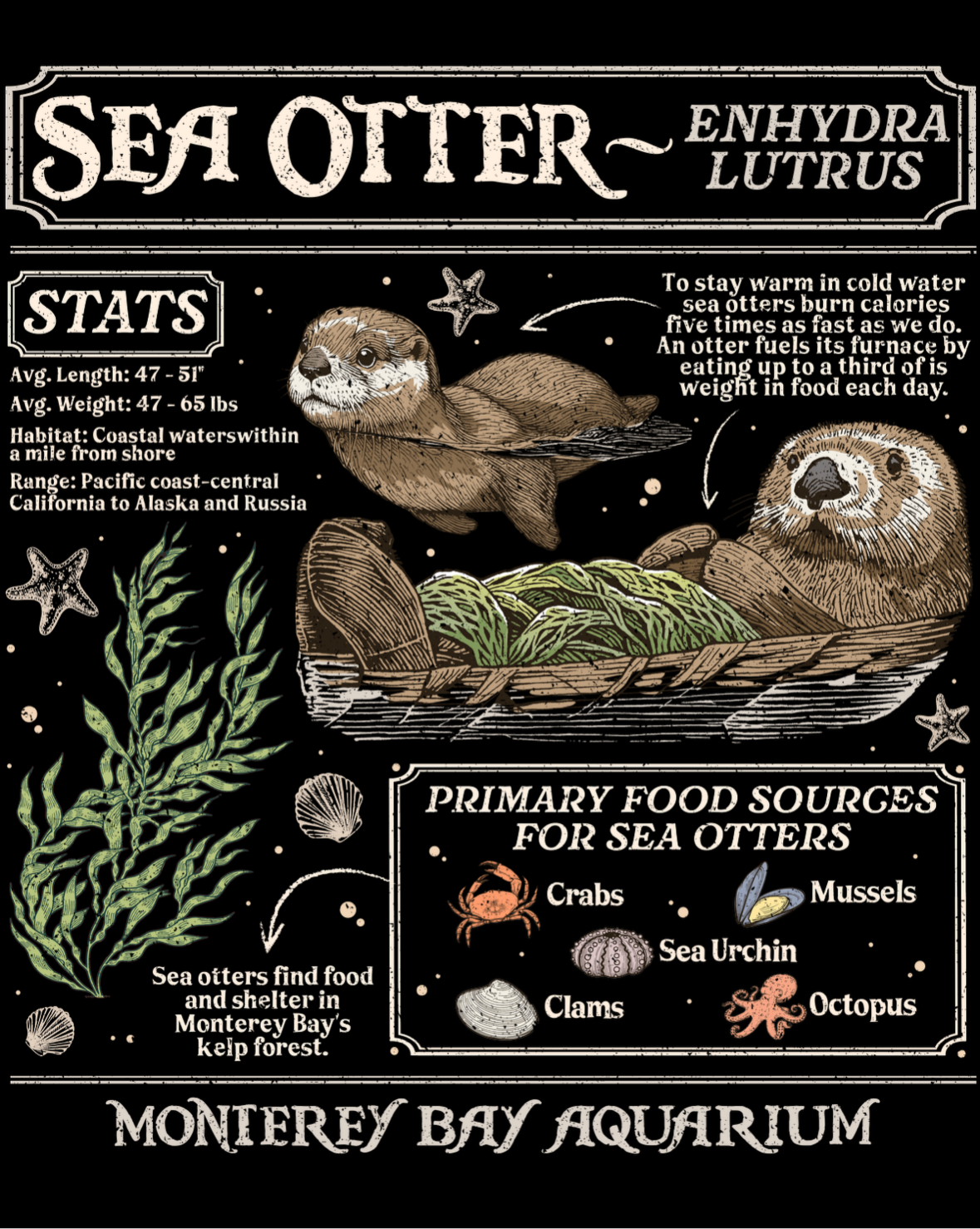 Otter print